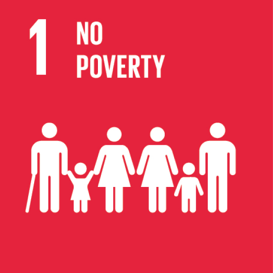 UN Sustainable Development Goal 1: No poverty