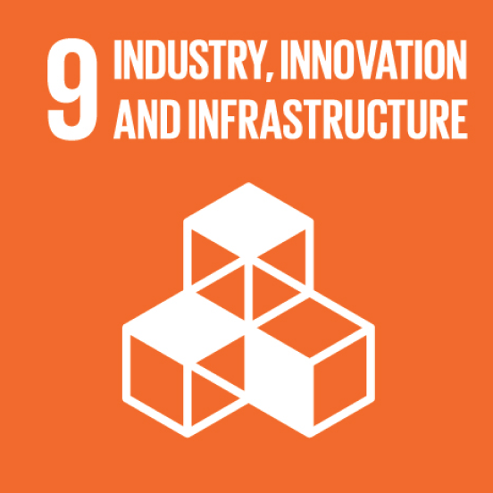 UN Sustainable Development Goal 9: Industry, innovation and infrastructure